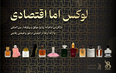 برندینی (Brandini)