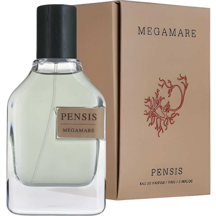 مگاماره (Pensis Megamare)